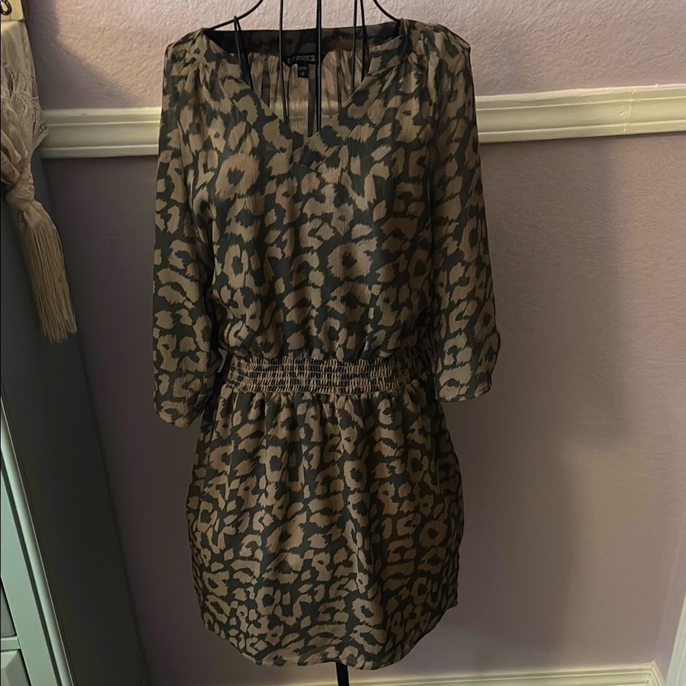 Express Chic Leopard Animal Print Dress V-Neck Size Small